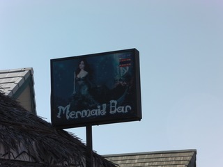 Mermaid Bar Image