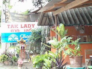 TAK LADY  Image