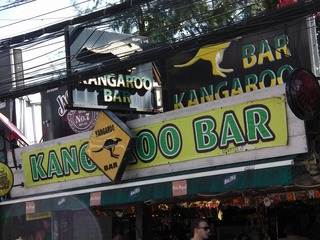 KANGAROO BAR Image