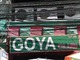 GOYA Thumbnail