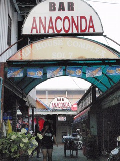 ANACONDA Image