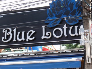 Blue Lotus Image