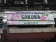 SAKURA Thumbnail